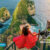 Nusa Penida Tour Package